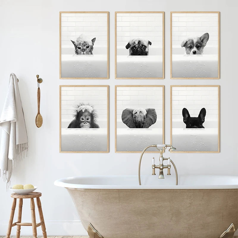 Affiche Humour Animaux dans le Bain